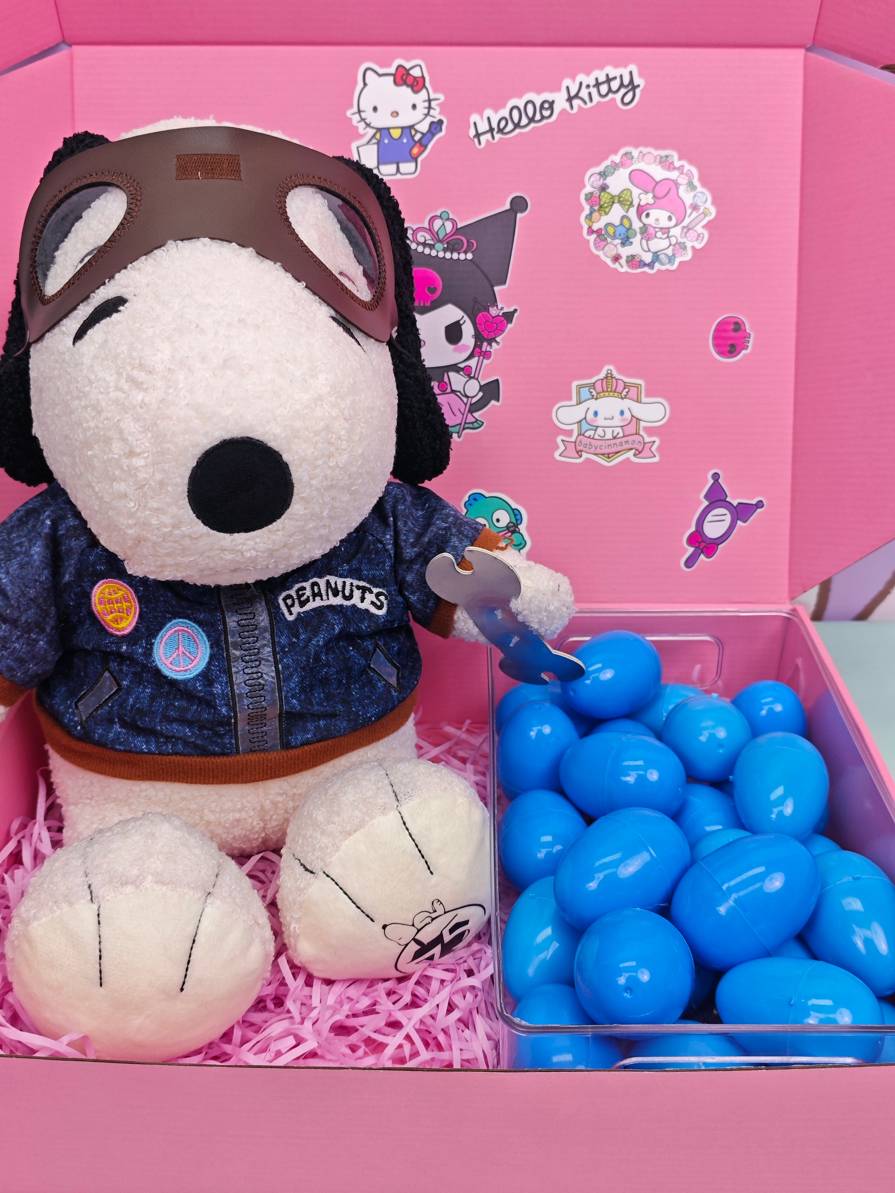 Snoopy Big Gift Pack
