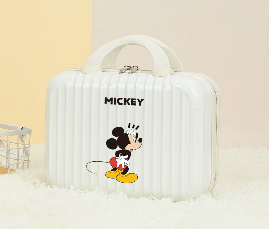 Custom Luggage