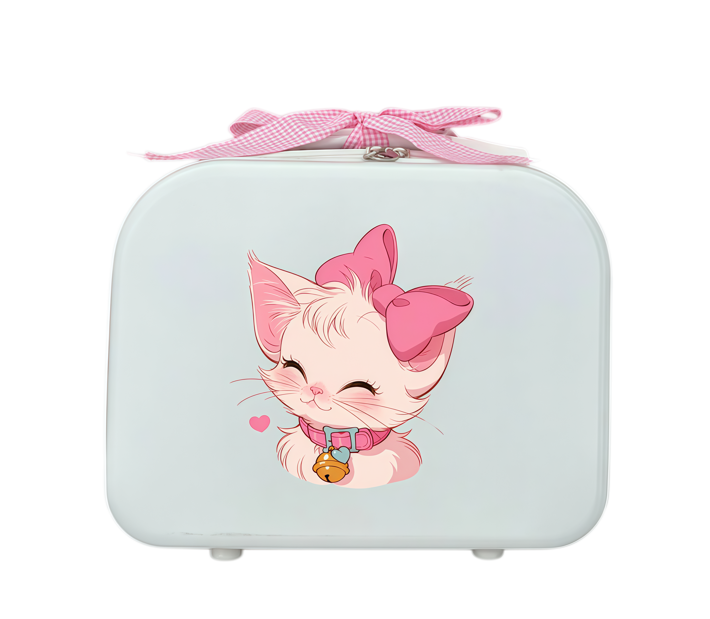 Custom Luggage