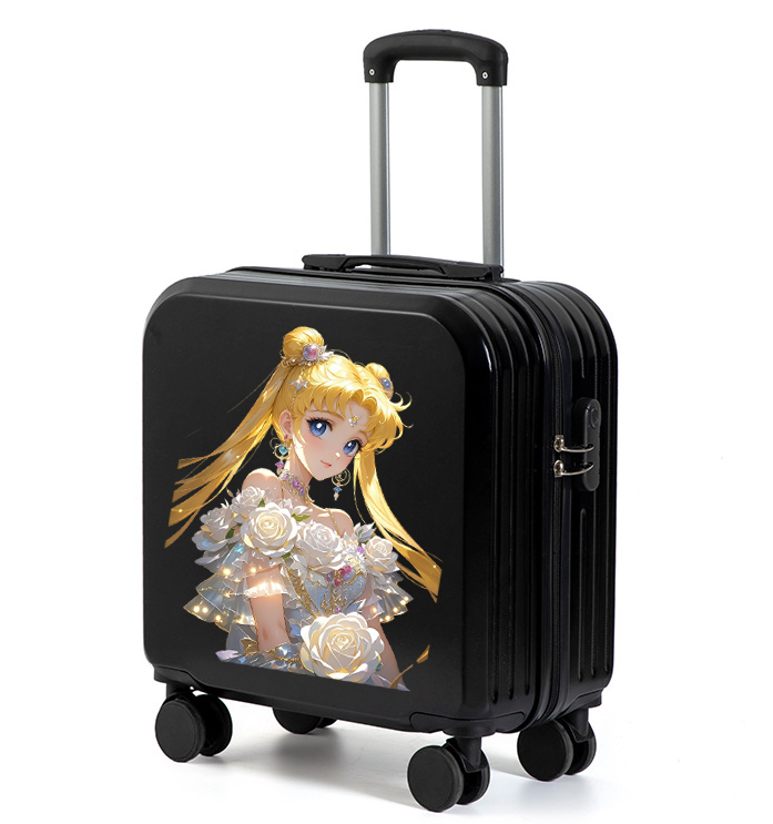 Custom Luggage